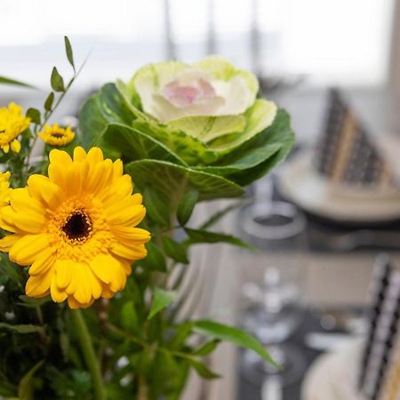 Vasko Luxurious Suites, Kaakkuri 로바니에미 외부 사진
